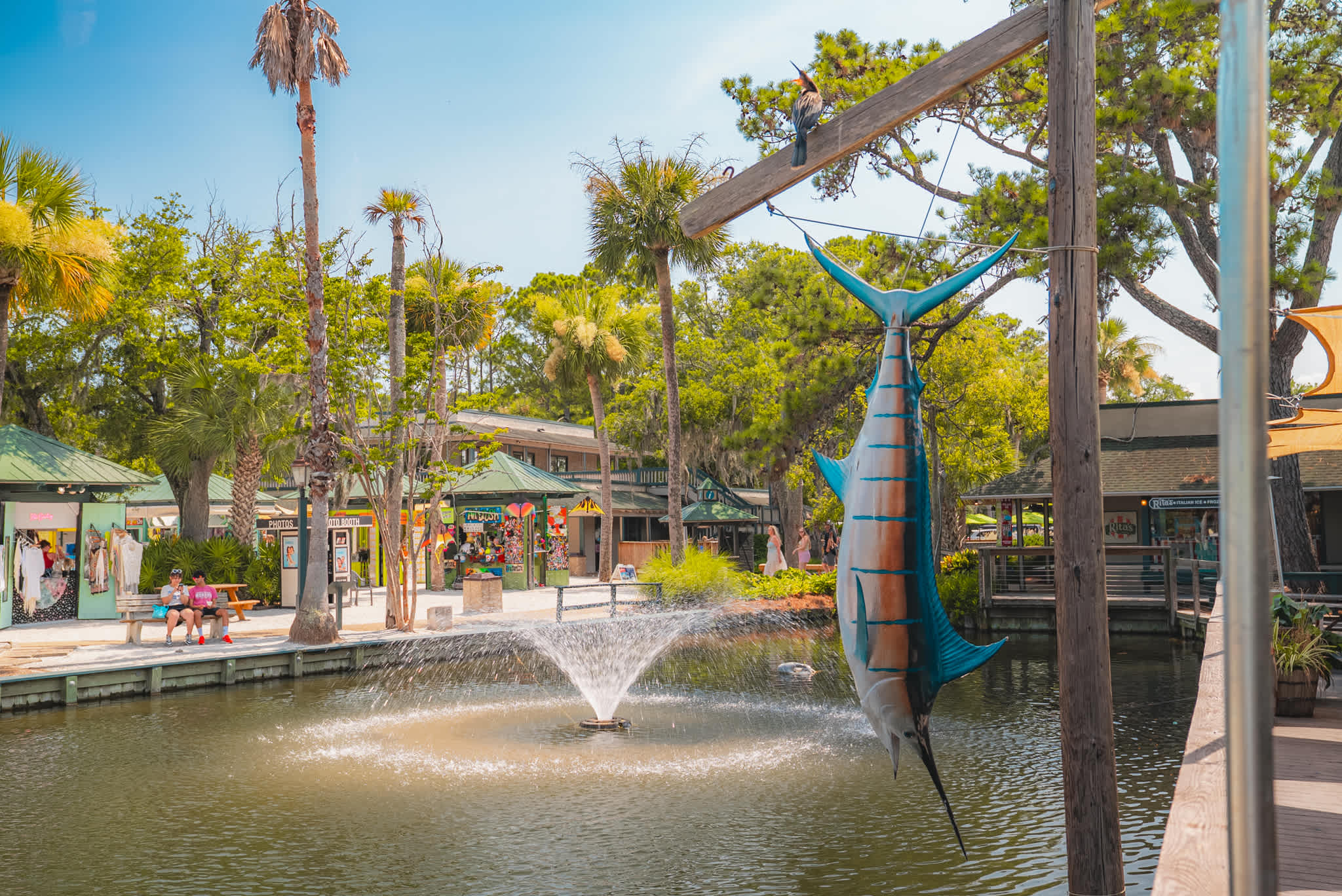 Coligny Plaza shops and dining